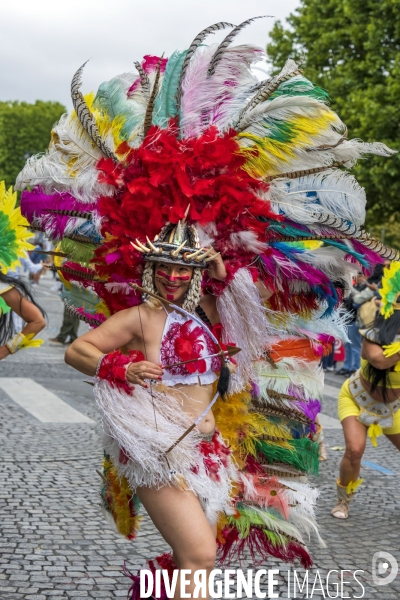 L  Amazonie : Theme du 25e Carnaval Tropical de Paris