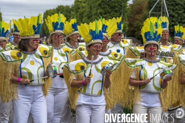 L  Amazonie : Theme du 25e Carnaval Tropical de Paris