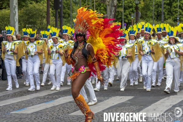 L  Amazonie : Theme du 25e Carnaval Tropical de Paris