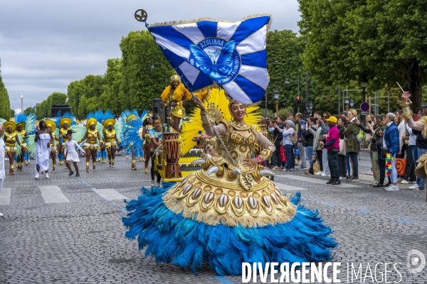L  Amazonie : Theme du 25e Carnaval Tropical de Paris