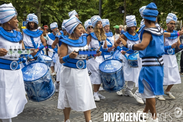 L  Amazonie : Theme du 25e Carnaval Tropical de Paris