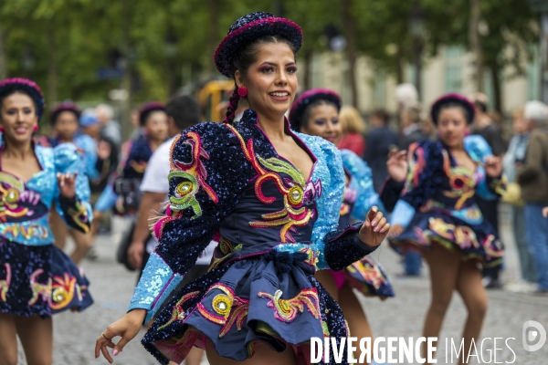 L  Amazonie : Theme du 25e Carnaval Tropical de Paris