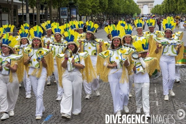 L  Amazonie : Theme du 25e Carnaval Tropical de Paris
