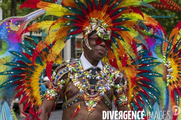 L  Amazonie : Theme du 25e Carnaval Tropical de Paris