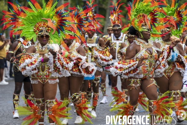 L  Amazonie : Theme du 25e Carnaval Tropical de Paris