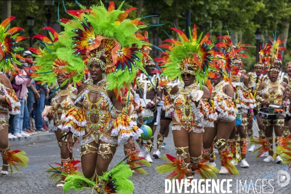 L  Amazonie : Theme du 25e Carnaval Tropical de Paris