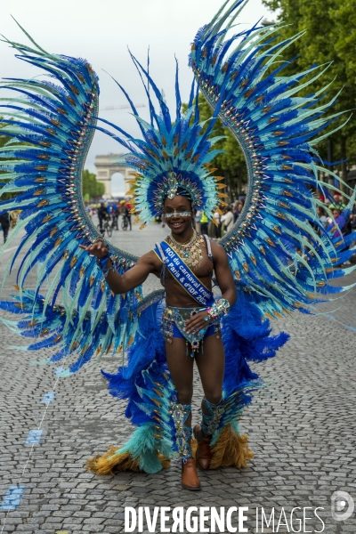 L  Amazonie : Theme du 25e Carnaval Tropical de Paris