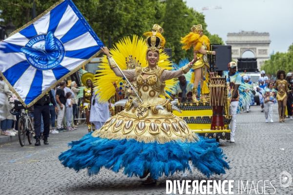L  Amazonie : Theme du 25e Carnaval Tropical de Paris