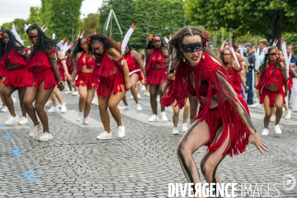 L  Amazonie : Theme du 25e Carnaval Tropical de Paris