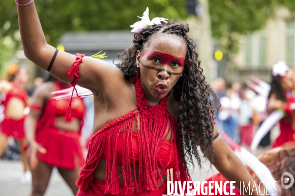 L  Amazonie : Theme du 25e Carnaval Tropical de Paris