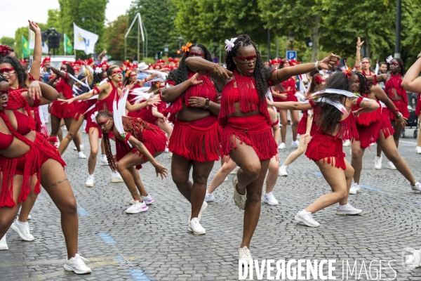 L  Amazonie : Theme du 25e Carnaval Tropical de Paris