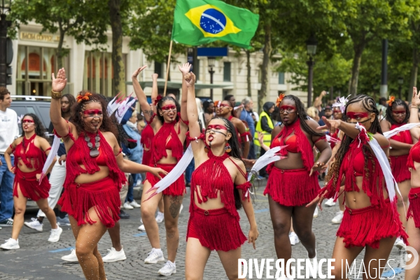 L  Amazonie : Theme du 25e Carnaval Tropical de Paris