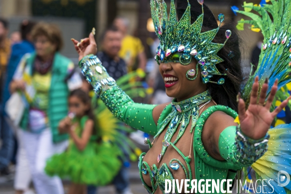 L  Amazonie : Theme du 25e Carnaval Tropical de Paris