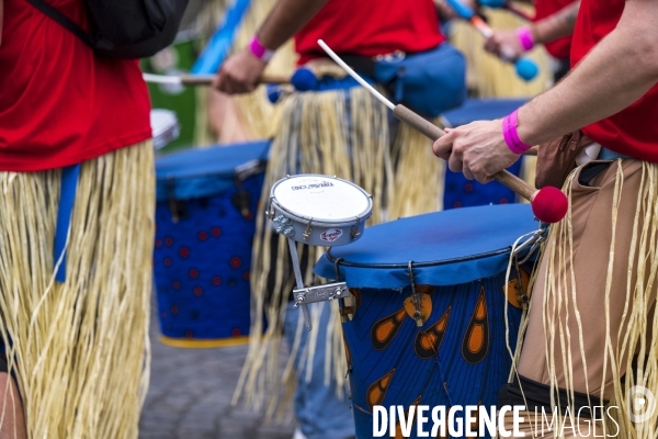 L  Amazonie : Theme du 25e Carnaval Tropical de Paris