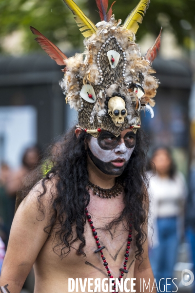 L  Amazonie : Theme du 25e Carnaval Tropical de Paris
