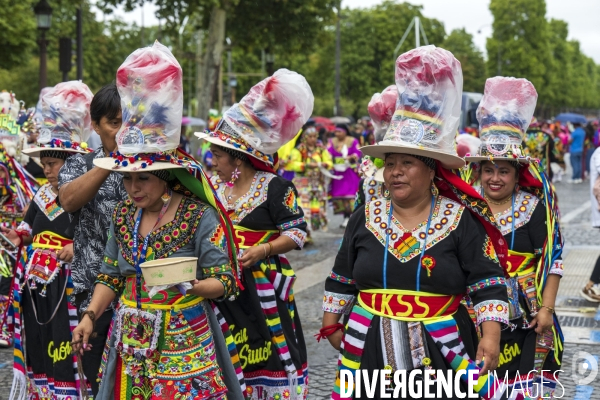 L  Amazonie : Theme du 25e Carnaval Tropical de Paris
