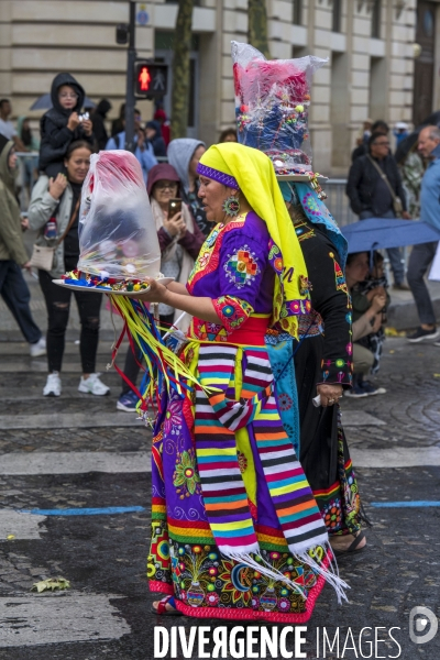 L  Amazonie : Theme du 25e Carnaval Tropical de Paris