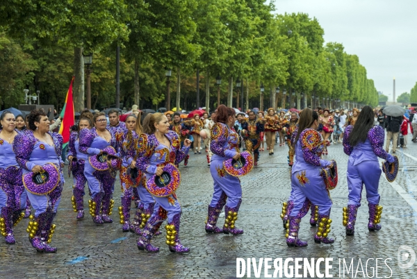 L  Amazonie : Theme du 25e Carnaval Tropical de Paris