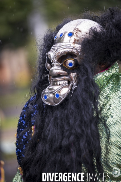 L  Amazonie : Theme du 25e Carnaval Tropical de Paris