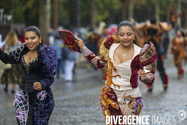 L  Amazonie : Theme du 25e Carnaval Tropical de Paris