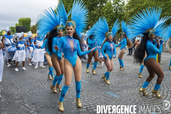 L  Amazonie : Theme du 25e Carnaval Tropical de Paris