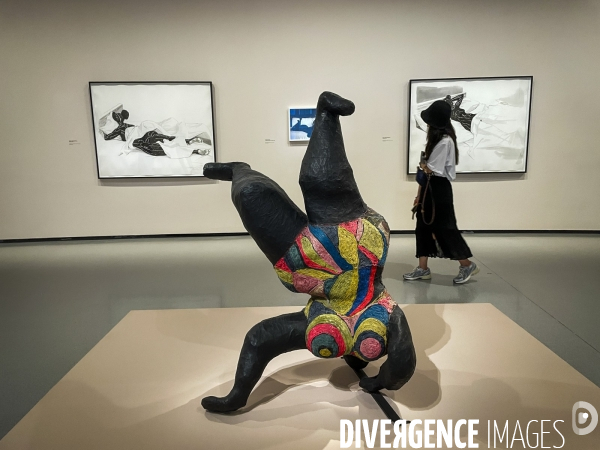 Collection Pinault: expo Corps et Ames
