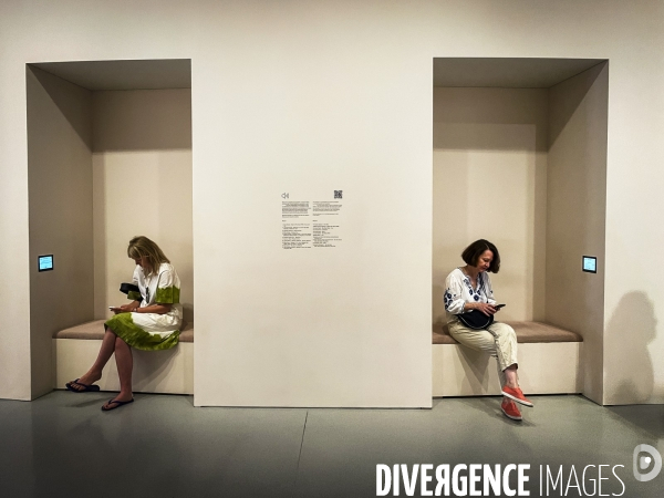 Collection Pinault: expo Corps et Ames