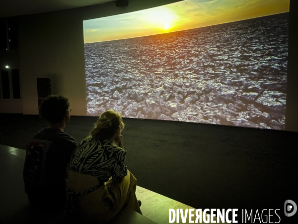 Collection Pinault: expo Corps et Ames