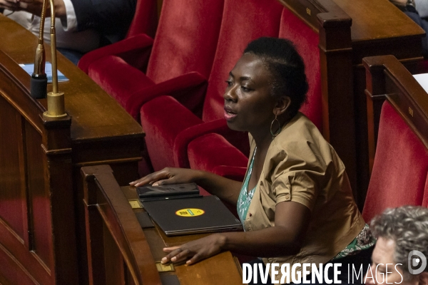Assemblee nationale 08072025