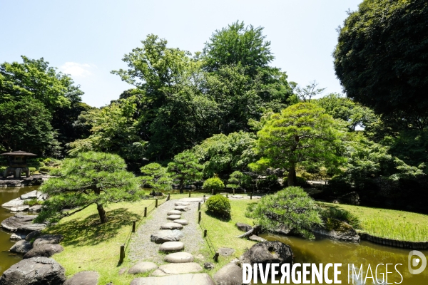 Kyu furukawa teien jardin de roses a toyo