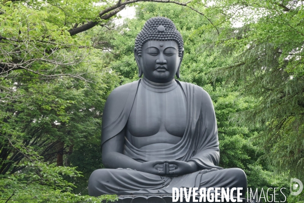 Joren-ji le grand bouddha de tokyo