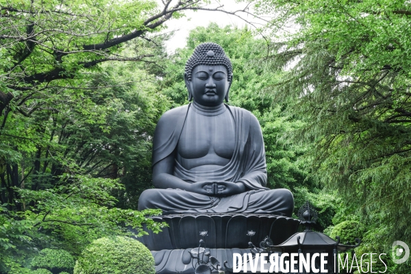 Joren-ji le grand bouddha de tokyo