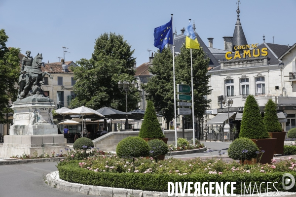 Ville de Cognac et ses vignes