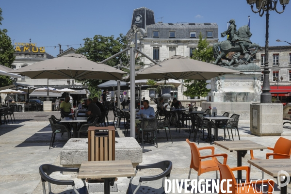 Ville de Cognac et ses vignes
