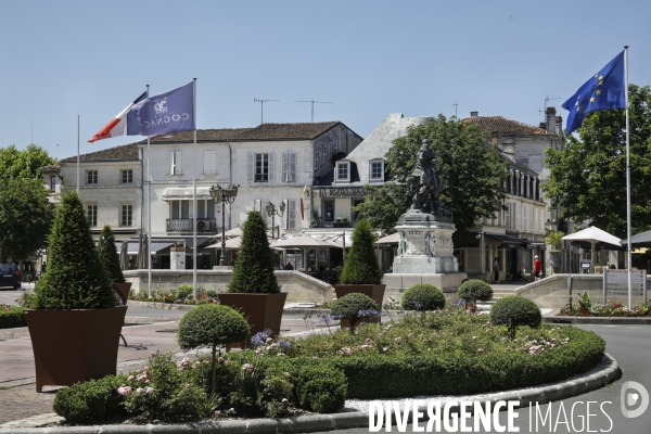 Ville de Cognac et ses vignes