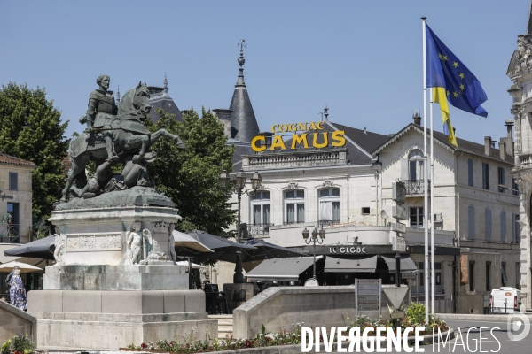 Ville de Cognac et ses vignes