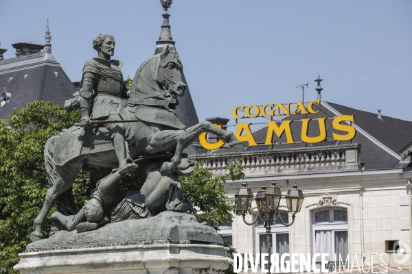 Ville de Cognac et ses vignes