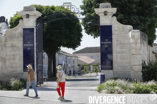 Ville de Cognac et ses vignes