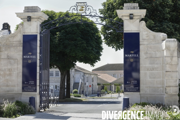 Ville de Cognac et ses vignes