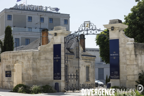 Ville de Cognac et ses vignes