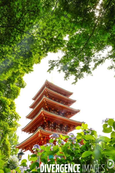 Temple takahata fudoson  japon