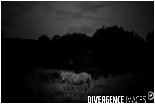Piaf Story ( avec un vrai morceau de cheval dedans)