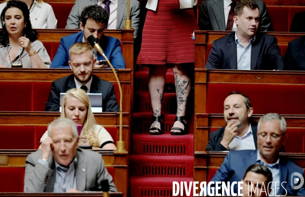 Deputés du Rassemblement National