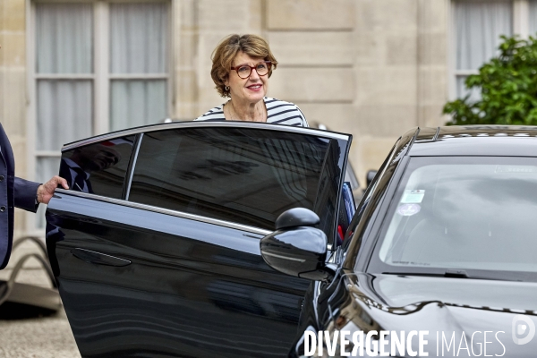 Annie Gennevard, ministre de l agriculture, Elysée Conseil des ministresElysée Conseil des ministres