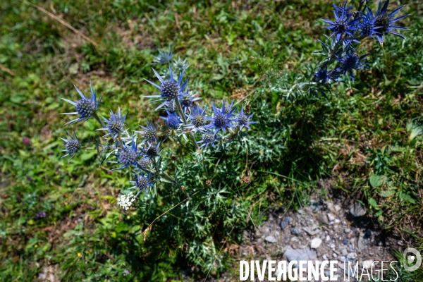 Randonnee sur le gr10