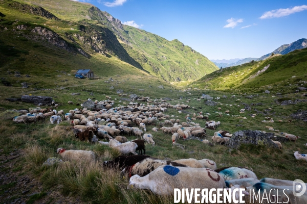 Randonnee sur le gr10