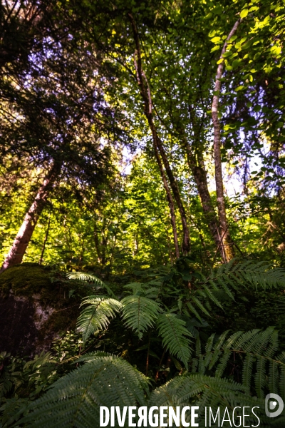 Randonnee sur le gr10