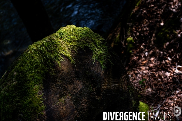 Randonnee sur le gr10