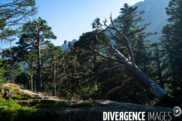 Randonnee sur le gr10