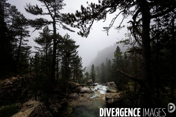 Randonnee sur le gr10